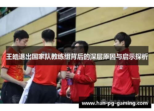王皓退出国家队教练组背后的深层原因与启示探析