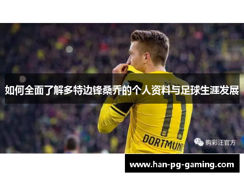 如何全面了解多特边锋桑乔的个人资料与足球生涯发展