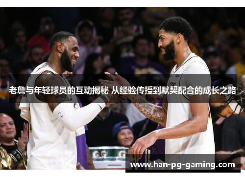 老詹与年轻球员的互动揭秘 从经验传授到默契配合的成长之路